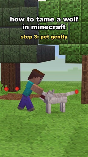 How to tame a wolf in Minecraft...