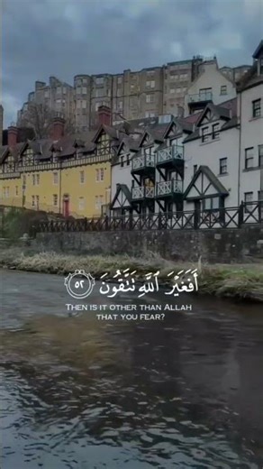 One Ayah a Day – Heart-Touching Recitation