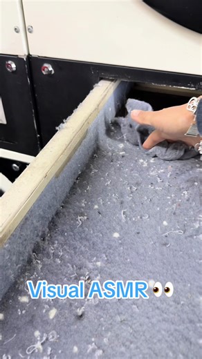 Ultimate Lint Removal Tips for Laundry Enthusiasts