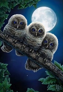 Lisa Parker Art, made with Plotaverse App. | Pam's Gifs and Videos