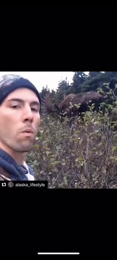 Moose Calling Adventures in Chugach, Alaska