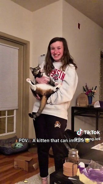 Copy cat🐱😂🤣#cat #catsoftiktok #funny #cute #fyp | cats