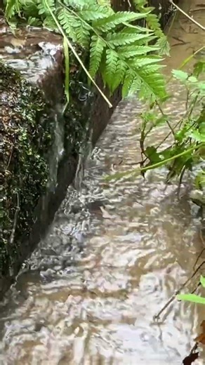 小川に響く安らぎの音｜心ほどける癒し時間“Relaxing Sounds of a Gentle Stream | A Soothing Moment to Unwind Your Mind”