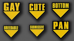 VRC Physbone Player Tag