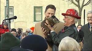Groundhog Who Bit Mayor Banished From Wisconsin Town