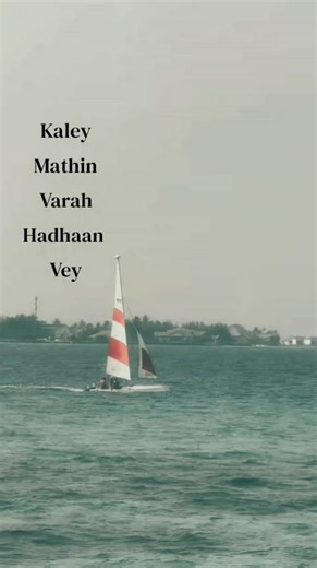 MËÊ_ẞHÊR 👾 (@mee_sherr)’s videos with оригинальный звук - rikoss