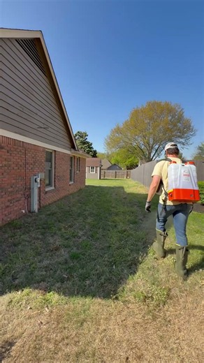 How to Get Rid of Weeds in Your Driveway and Yard | Easy Weed Control Tips for Homeowners