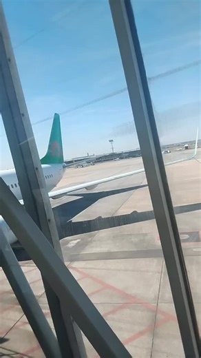 chiccondie (@chiccoscollection1)’s videos with My Darling - Chella