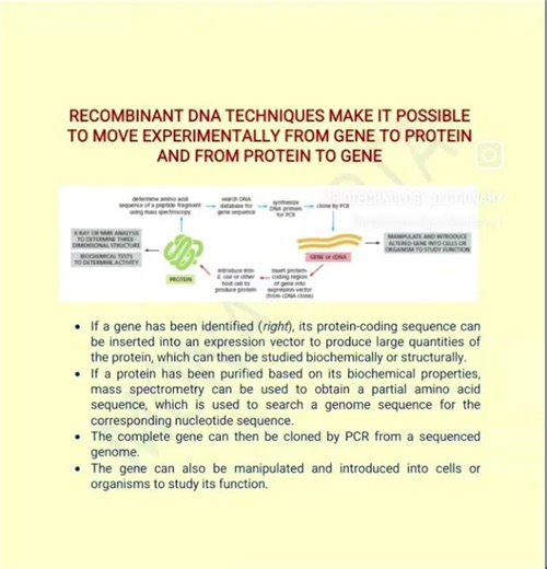 rDNA techniques