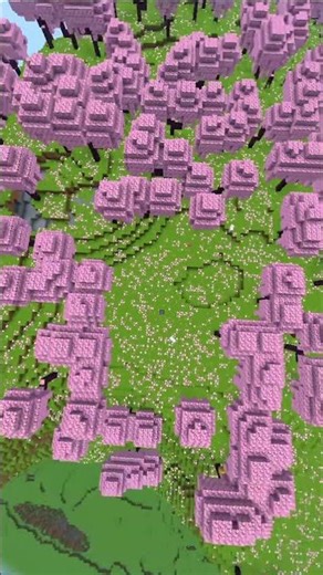 Best option Falling Through Every Minecraft Biome 😳
