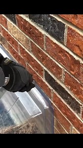 141K views · 9.2K reactions | Girl rescues and adopts baby raccoons #animals #animallover #animalsoftiktok #rescueanimals #raccoon | Masokapowerproducts | Facebook