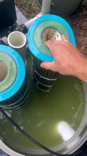 Satisfying Pool Cleaning