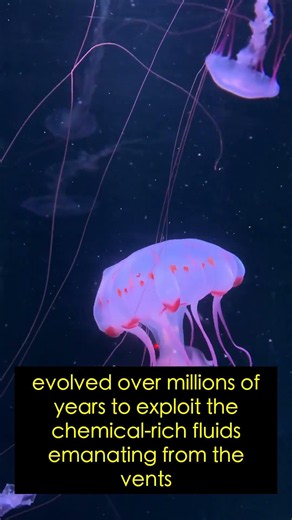Unveiling the Mysteries of the Deep Sea: Hydrothermal Vents 🌊 #oceanexploration