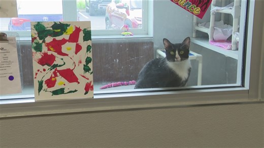 SPCA prepares for annual Wine, Wags, and Brews Event