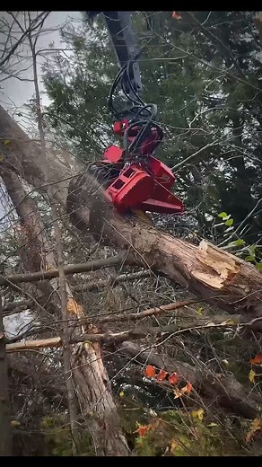 21 reactions | #grapplesawtruck #lakesunapeetreeservice #lakesunapee #treelife | Lake Sunapee Tree Service | Facebook