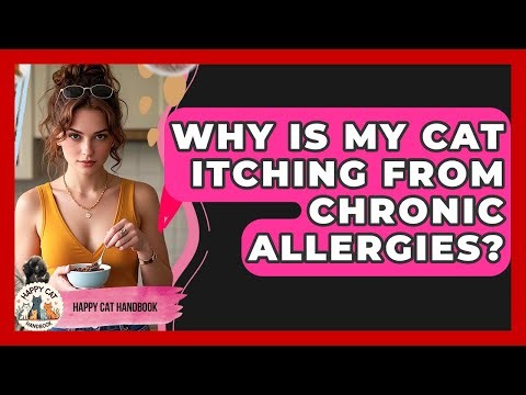 Why Is My Cat Itching From Chronic Allergies? - Happy Cat Handbook