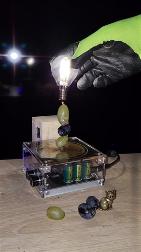 🍇 Lesson 16: Grape Duracell battery Led bulb #experiment #teslacoil #physics #magic | Life Tesla Coil