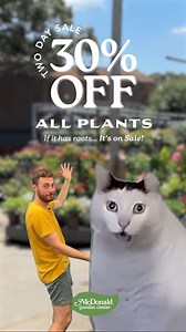 13K views · 17 reactions | THIS IS NOT A DRILL!We’re throwing a limited-time plant sale you just don’t want to miss. 30% OFF ALL PLANTS going on NOW at our year-round locations and select Garden Markets!  Big selection. Big savings. Get here before it all disappears! #mcdonaldgardencenter #gardencenter #plantsale #plantdeals #sale #shoplocal #gardening | McDonald Garden Center | Facebook