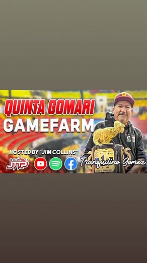 One generation giving to the next generation. If this presents generation doesn’t groom the next generation. Then what will be the outcome of the sport in the future. Tranquilino is an amazing example of a present day Breeder giving back by his willingness to share his knowledge. Kimy is an example of the next generation willingness to apply what she has been taught. Both generations have to make a conscious effort to grow the sport. “Each One Teach One” | Journey to the Pit