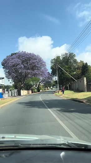 Introducing Signia Active Pro IX: The Ultimate Hearing Aid Earbud Combo