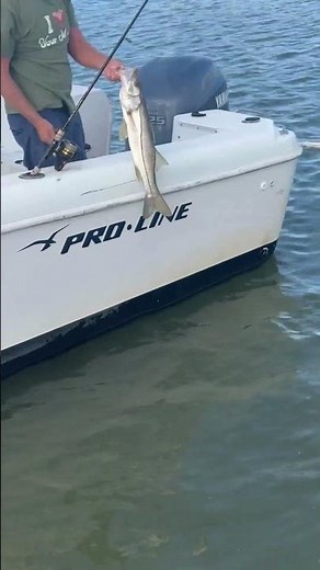 Family Fun at Groupon