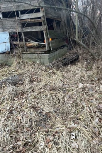 Crazy Homeless Tweaker