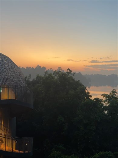 DEBBIE.S on Instagram: "felt close to nature esp in my tiger print bikini 🐅"