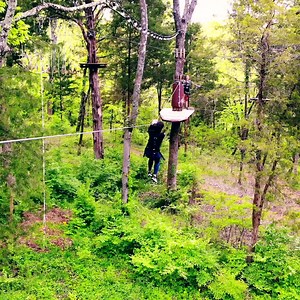 Ready for a magical experience? Perfect for the family or with a group of friends, The Adventure Park is the place to be if you're dreaming about swing, jump, fly through the trees. And as we understand that plans (and weather) may change, we offer Flexible Booking where you may postpone your visit and “bank” your payment for future climbing! | The Adventure Park at Heritage Museums & Gardens