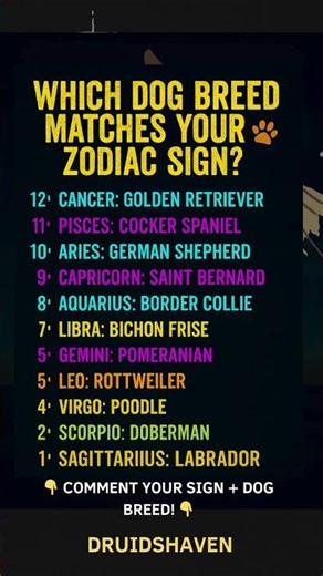 Which Dog Breed Is Your Zodiac Match? #zodiac #shorts #astrology #trending #dog