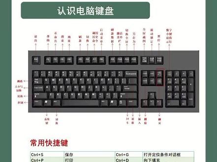 学电脑，其实没那么难，谁都是从认识键盘开始学的，记下快捷键，会做表格，会打印，就可以应聘文员#excel技巧 #0基础学电脑 #文员零基础入门教程 #excel基础办公技巧