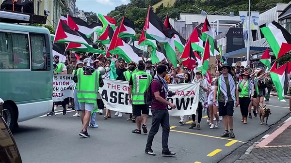 People gathered in support of a ceasefire in Gaza, and protested the Government’s decision to deploy New Zealand personnel to join US-led attacks on Houthi rebels in Yemen. Video / Dean Purcell | nzherald.co.nz