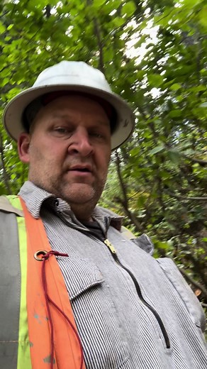 Exploring the Woods: Father-Son Timber Adventure