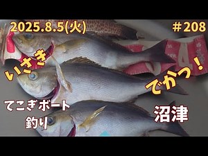2025年8月5日(火) てこぎボート釣り いさき。でかっ!!多魚種釣果 沼津 丸高水産 #208