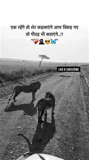 Quotes and shayari ☠️💀 || quick topper || #atitude #shyari #motivational #twolines #short