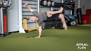 Advanced Flow Design is our new workshop for people who've taken Levels 1 and 2, where we focus on cool transitions, combo moves, and incorporating personal flare into your flow. At our recent AFD workshop in Los Angeles, we had 12 incredible Animal Flow Instructors really bring their A-Game. We ended the day with each person designing and performing their own Flow. Most of these fitness professionals have been practicing Animal Flow for many years, so they were already building on strong abilit