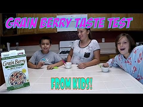 Grain Berry with Onyx Sorghum. A Real Taste Test by Kids