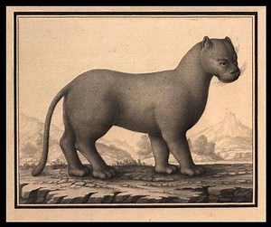 Alexandre Rodrigues Ferreira - Alchetron, the free social encyclopedia