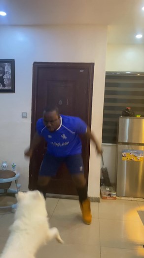 Estevao Willian Goaaaaalll || What a beautiful Goal by Estevaooooooo | CFC Tribes