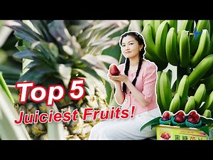 Why Taiwan is Nicknamed the Kingdom of Fruits! | Taiwan Top 5