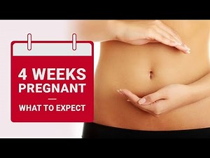 4 Weeks Pregnant - What to Expect | Pregnancy Week By Week