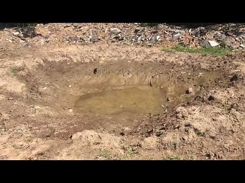 Using sweet feed for deer attractant (RESULTS)