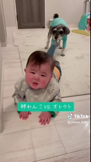赤ちゃんと動物の友情物語 — 癒される可愛い瞬間まとめ