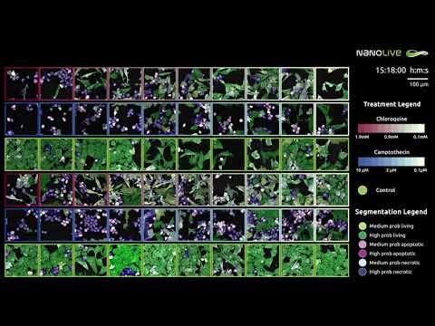 screening drug cytotoxicity in 96 well plate format lca output
