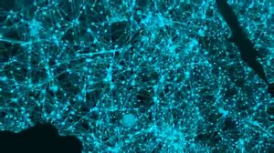 World map network. Connection dots background