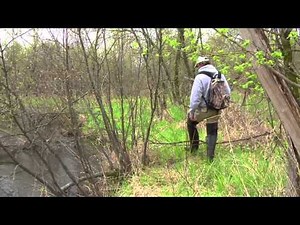 Musky Fishing Adventures – Keyes Outdoors 2014 - 1st Show Trout Style Muskies