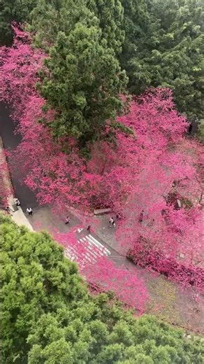 Sun Moon Lake Nantou