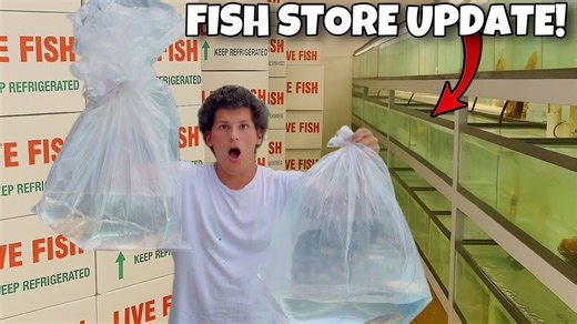Shipping Out Rare Fish from Rob’s Aquatics | Weekly Stock Update