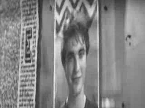Cho Chang and Cedric Diggory