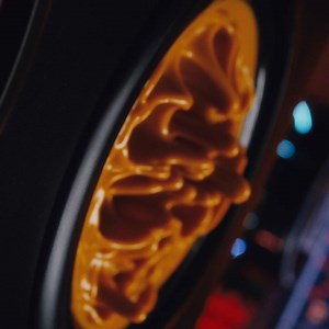 Unlock Much Much More with Cadbury LunchBar! Fuel your more and stand a chance to WIN amazing prizes! ​ Here's how:​ 1.Buy any 2 Cadbury Lunch Bar 48g packs​ 2.WhatsApp “Hi” to 254706152430​ 3.Stand a chance to WIN Cash prizes, powerbank, LunchBar hampers and #MuchMuchMore | Lunch Bar KE