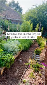 Learn Gardening | Sasa on Instagram: "Gardening follows seasonal cycles, and plant growth depends on temperature, rainfall, and daylight. Here’s how different seasons affect your garden: --- 1) Spring (Growing & Blooming Season) – 🌿 Turns Green ✔ Best Time for Planting: Seeds and seedlings thrive as temperatures rise. ✔ Lush Green Growth: Trees, grass, flowers, and vegetables start growing actively. ✔ Rain & Mild Weather: Perfect for leafy greens, herbs, and fruit trees. --- 2) Summer (Peak Gro